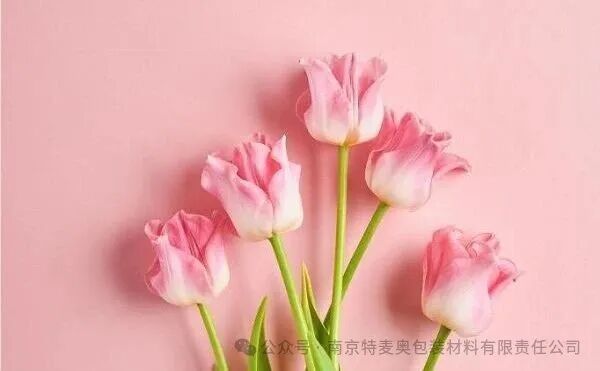 洗净铅华,留香于心——南京特麦奥包装材料有限责任公司2026年女神节特别献礼